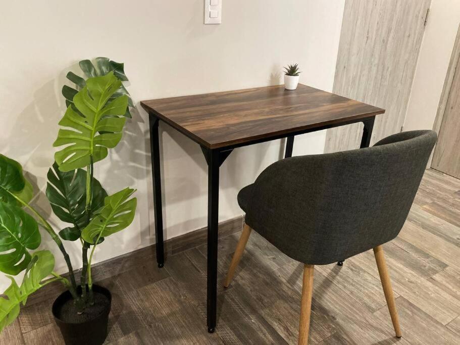 墨西哥城Corazon De Condesa 3 Departamentos - 200Mbps Wifi, Roof, Gym公寓式酒店 外观 照片